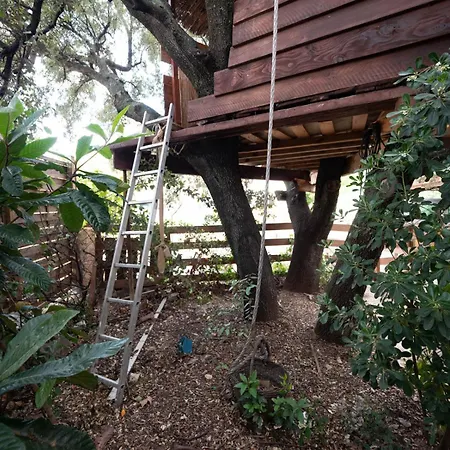 Le Chalet Casa de Férias *